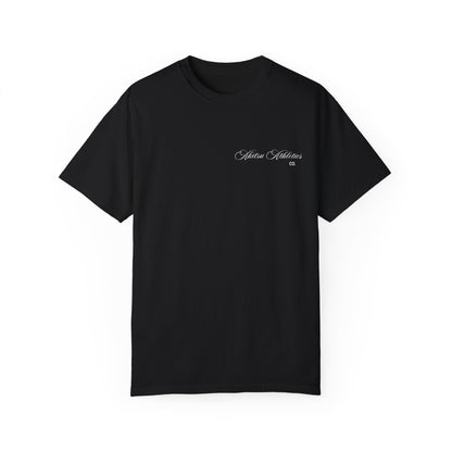 "PEGASUS" PUMP COVER
