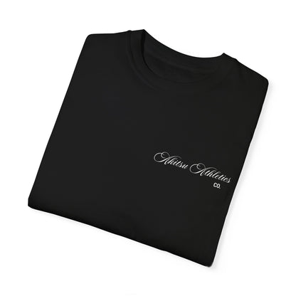 "PEGASUS" PUMP COVER