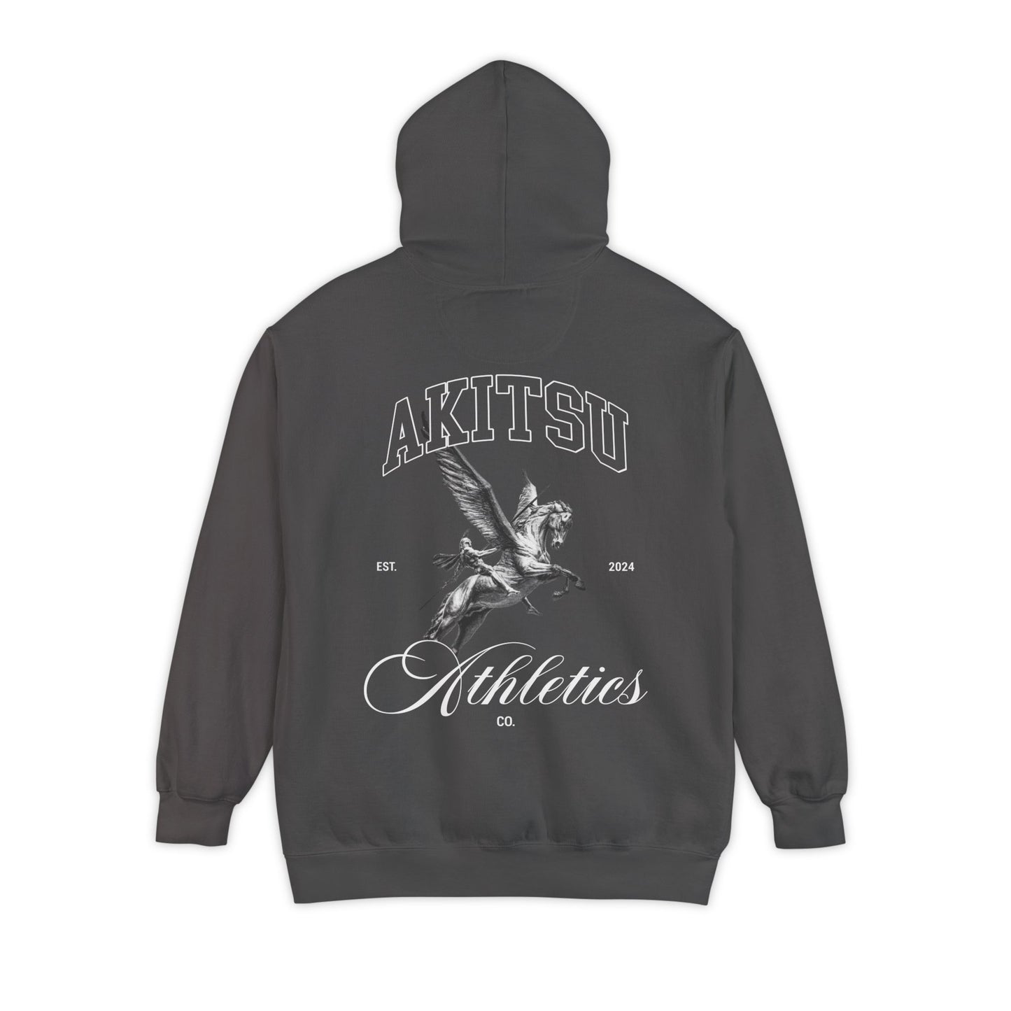"PEGASUS" HOODIE